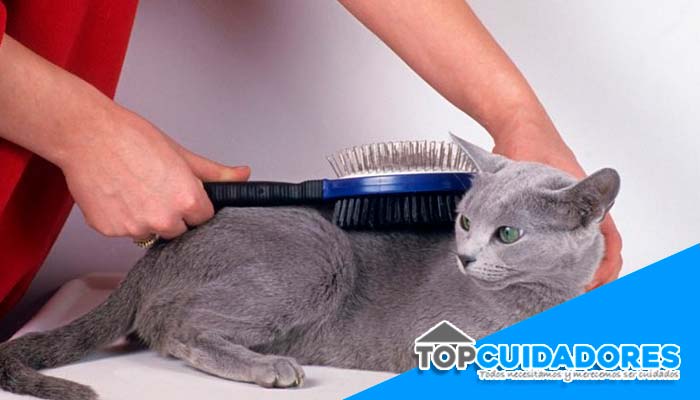 Anuncios de TCAE TECNICO CUIDADOS ENFERMERIA